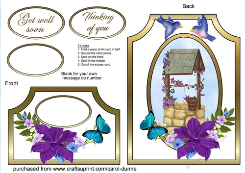 Cutaway Well with clematis