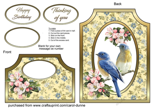 Cutaway Bluebirds & apple blossom