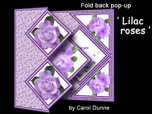 FBP Lilac rose