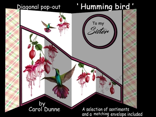 Diagonal pop-out Humming bird
