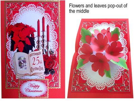Poinsettia Pop-up Flowers Kit