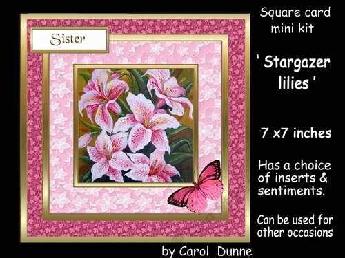 SC Stargazer lilies 