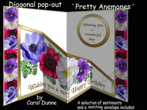 Diagonal pop-ou Pretty anemones