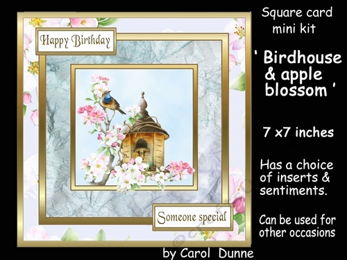 SC Birdhouse & apple blossom