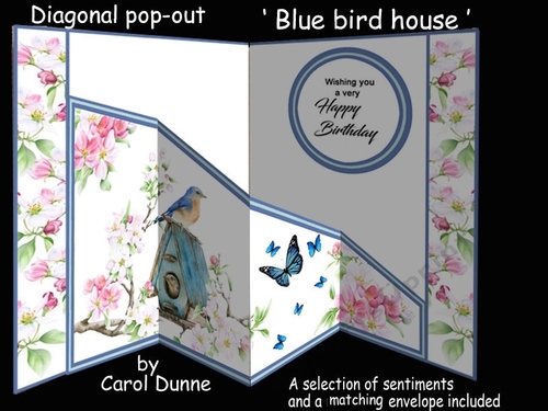 Diagonal pop-out Blue bird house