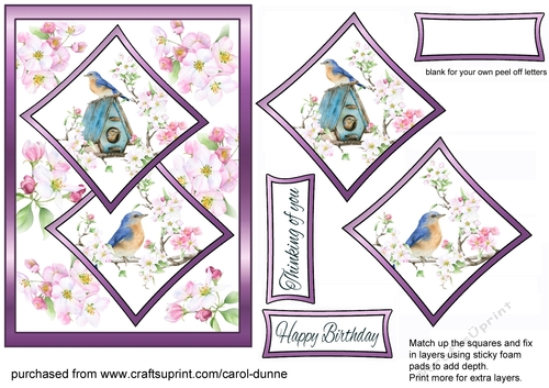 Two squares Blue bird & apple blossom