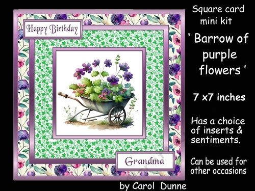 SC Barrow full of purple flowers