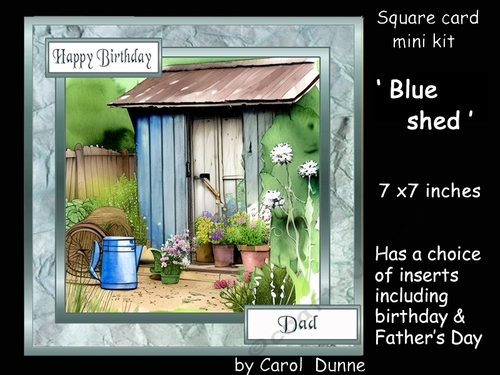 SC Blue shed