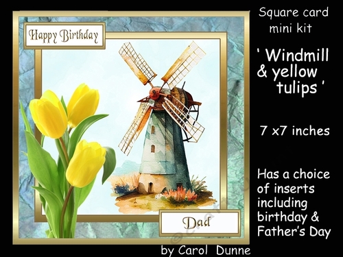 SC Windmill & yellow tulips