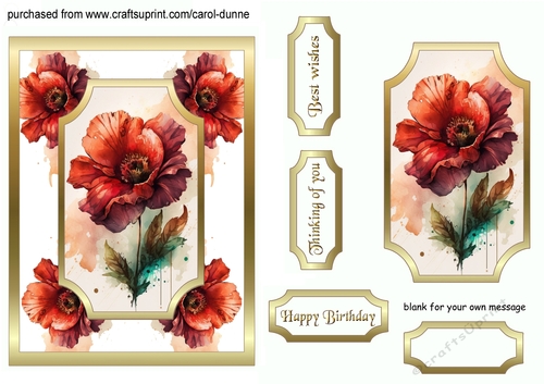 Red poppy 5x7