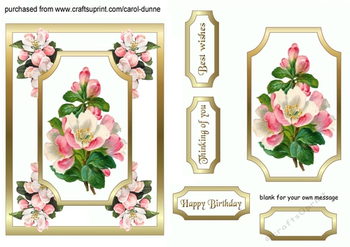 Apple blossom 5x7