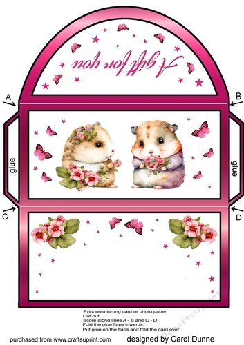 Money wallet Guinea pigs