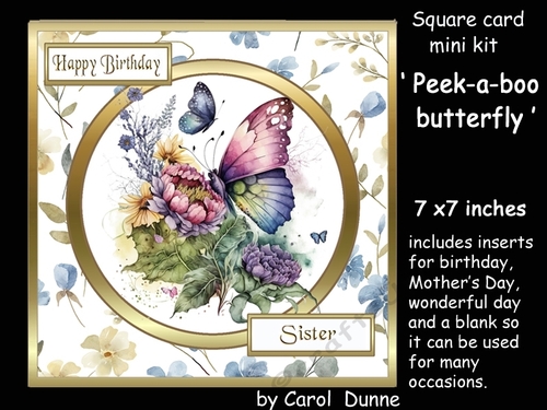 SC Peek-a-boo butterfly