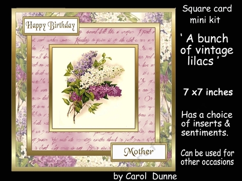 SC A bunch of lilacs
