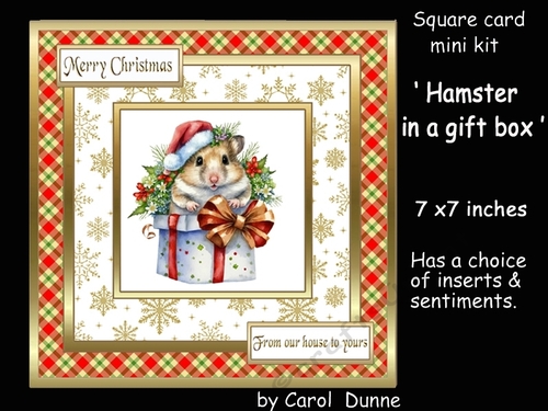 SC Hamster in a gift box