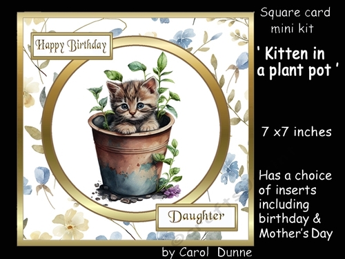 SC Kitten in a plant pot