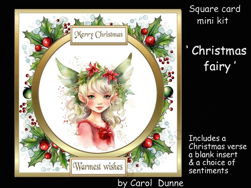SC Christmas fairy
