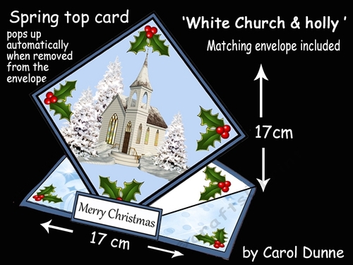 Spring top White Church & holly