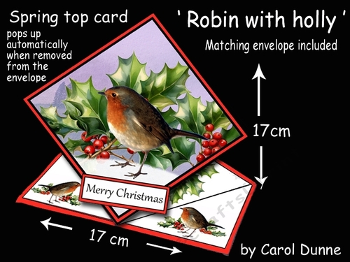 Spring top Robin with holly