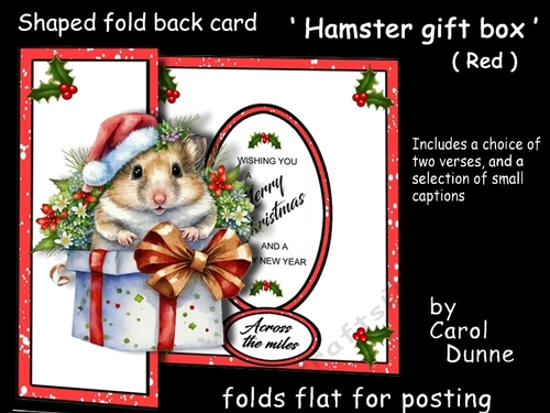 FB Shaped Hamster gift box (Red)