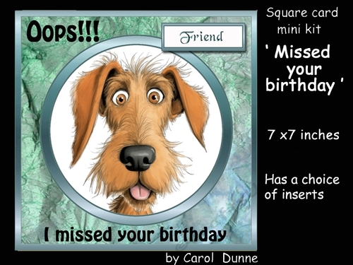 SC Missed your birthday