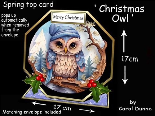 Octagon spring top Christmas owl