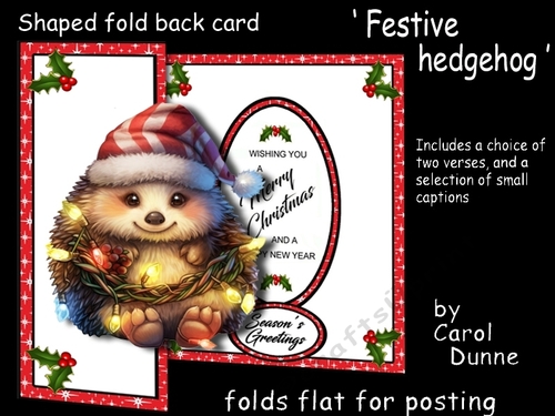 FB Shaped Festive hedgehog
