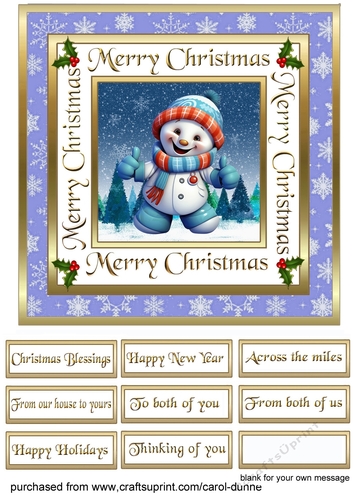 SC Funny snowman