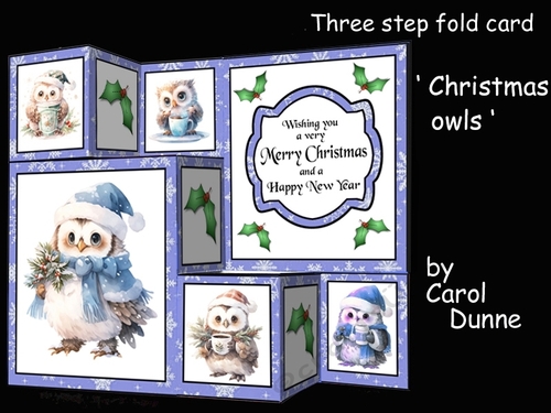 TSF Christmas owls