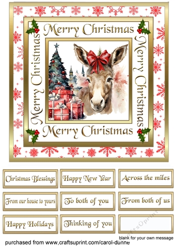 SC Donkey Christmas