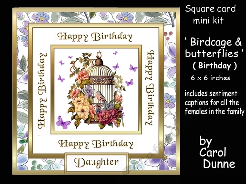 SC Birdcage & butterflies (Birthday)