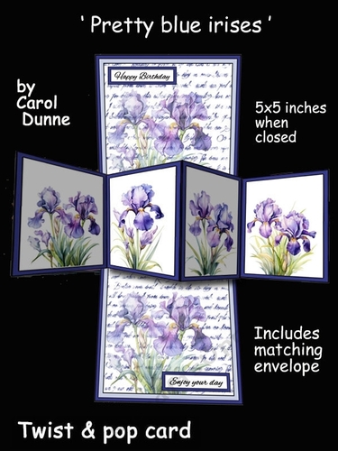 Twist & pop Pretty blue irises