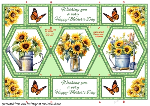 Hexagon Shutter Sunflowers MD