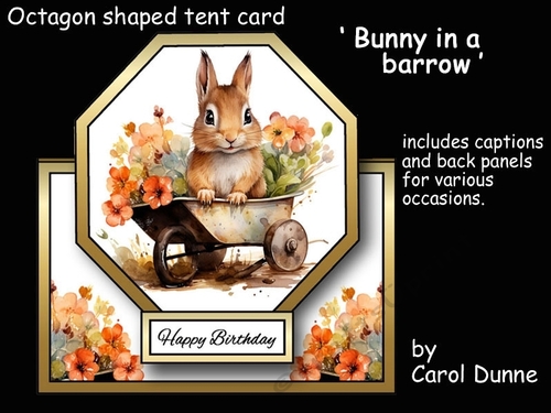 Octagon tent Bunny in a barrow