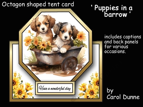Octagon tent Puppies in a barrow