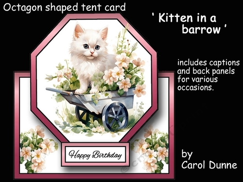 Octagon tent Kitten in a barrow