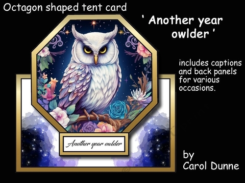 Octagon tent Another year owlder