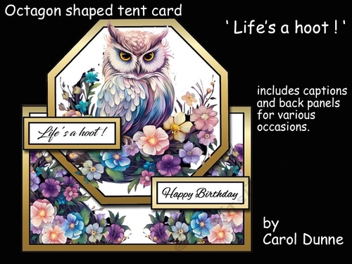 Octagon tent Lifes a hoot