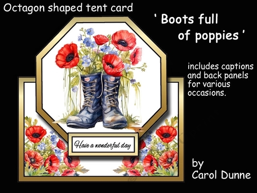 Octagon tent Boots full of poppies