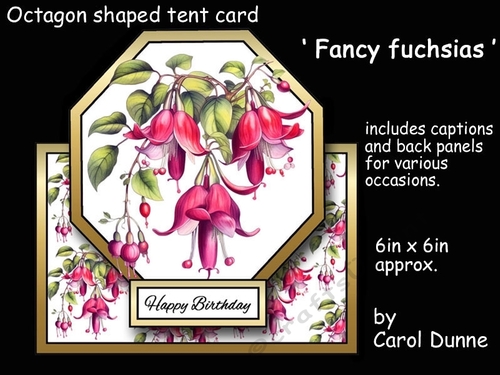 Octagon tent Fancy fuchsias