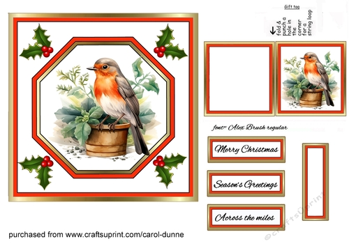 Robin on a plant pot