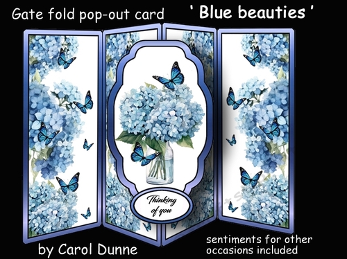 Gate fold pop-out Blue beauties