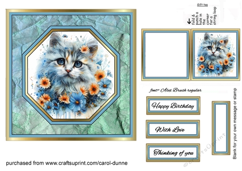 Octagon front Blue eyes kitty