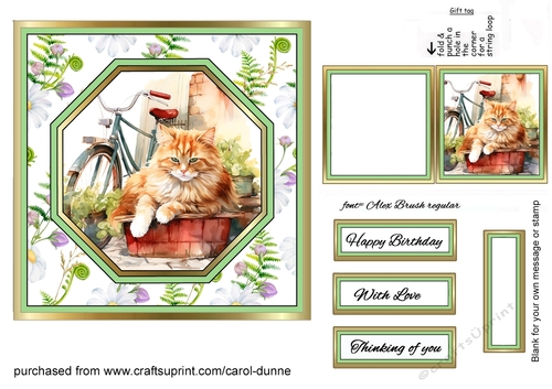 Octagon front Country kitty