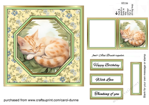 Octagon front Sleepy kitty cat