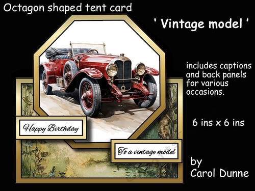 Octagon tent Vintage model