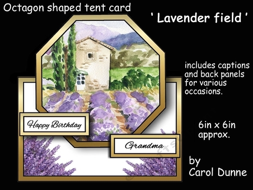 Octagon tent Lavender field