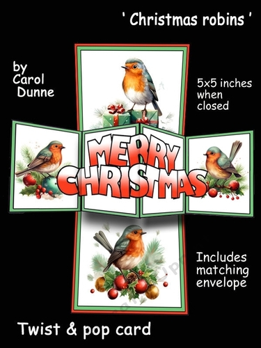 Twist & pop Christmas robins