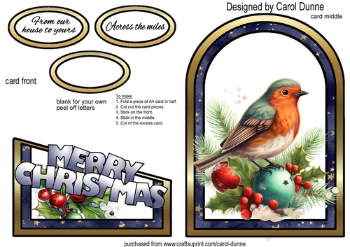Cutaway Robin with holly