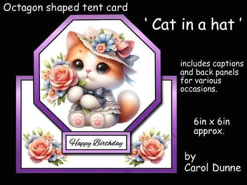 Octagon tent Cat in a hat